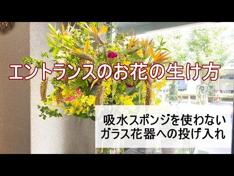 あなたの屋外スペースに最適な花の咲くプライバシー生垣はどれですか?私たちのトップ3！  庭園