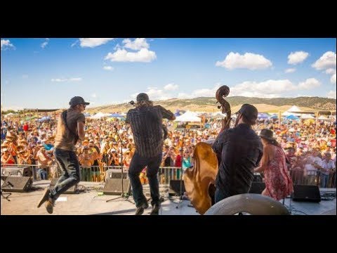 Laney Lou and the Bird Dogs