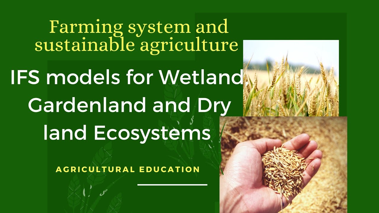 IFS Models For Wetland, Gardenland And Dry Land Ecosystem - YouTube