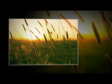 Frédéric Chopin – Andantino “Spring” in G Minor ♫ Op. 74, No. 2, B.117