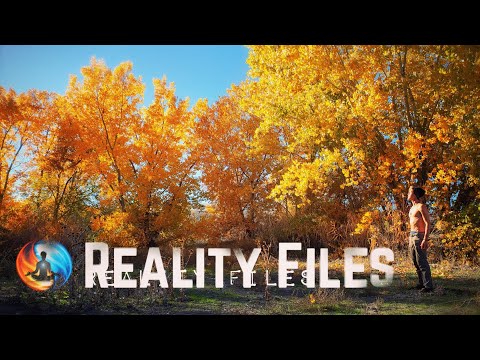download lagu mp3 mp4 Spirit Of Tranquility, download lagu Spirit Of Tranquility gratis, unduh video klip Spirit Of Tranquility