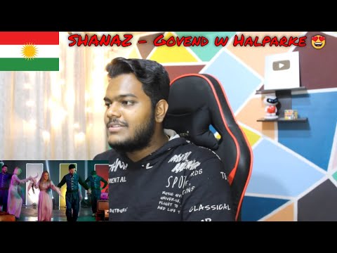 SHANAZ - Govend w Halparke | KURDISH MUSIC REACTION