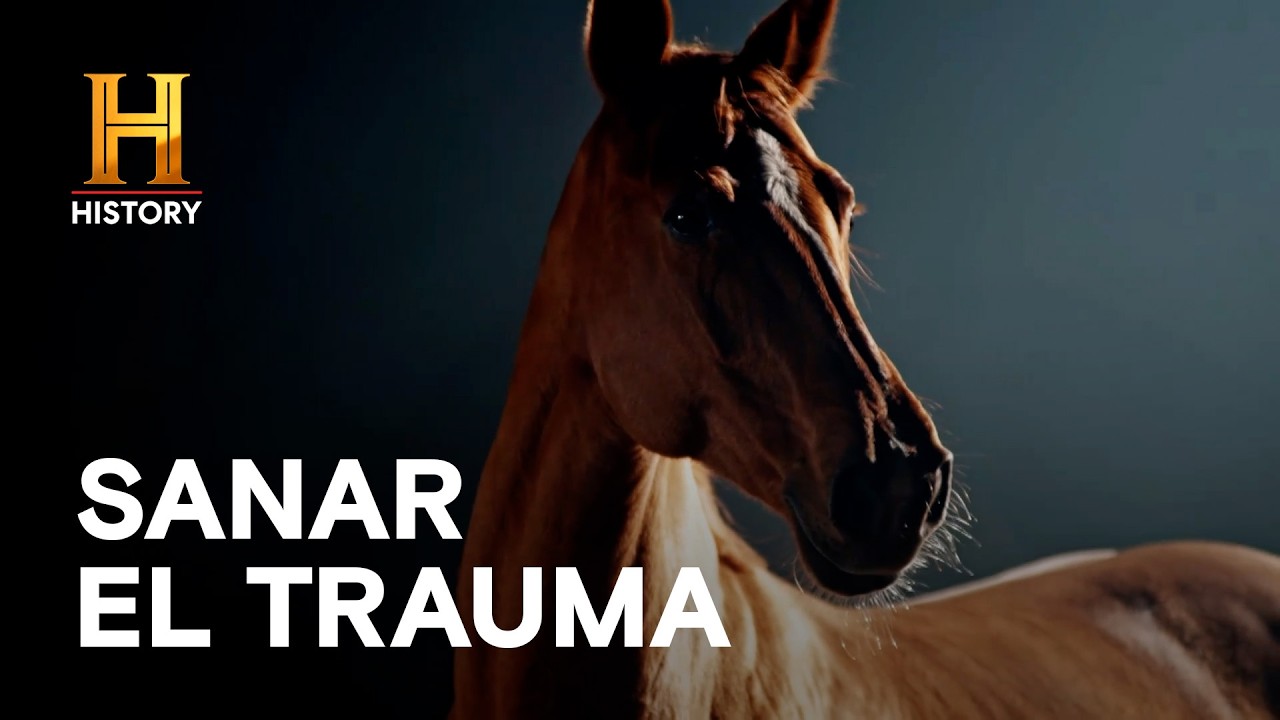 EL MISTERIO DE LA MENTE EQUINA 🐎 - Inexplicable con William Shatner