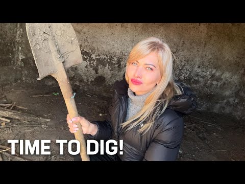 Kiev vs Village Life - 🇺🇦 Aggiornamento dall'Ucraina 🇺🇦