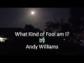 Andy Williams - What Kind of Fool am I?