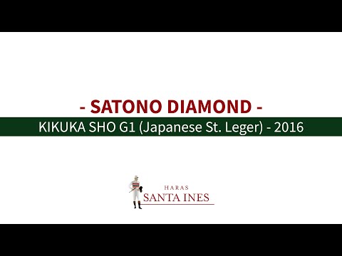 SATONO DIAMOND - KIKUKA SHO (G1) Japanese St  Leger - 2016