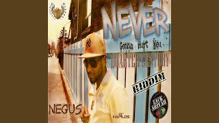 Never Gonna Hurt You