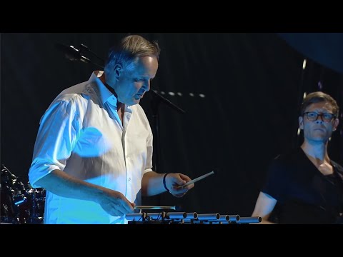 JazzBaltica: Wolfgang Haffner Trio feat. Sebastian Studnitzky