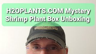 H2OPLANTS.COM Mystery Shrimp Plant Unboxing #H2O Plants, H2OPLANTS.COM