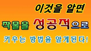 [텃밭농부.891]  이것을 알면 작물을 성공적으로 키울 수 있다. #농사