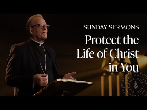 Protect the Life of Christ in You - Bishop Barron’s Sunday Sermon