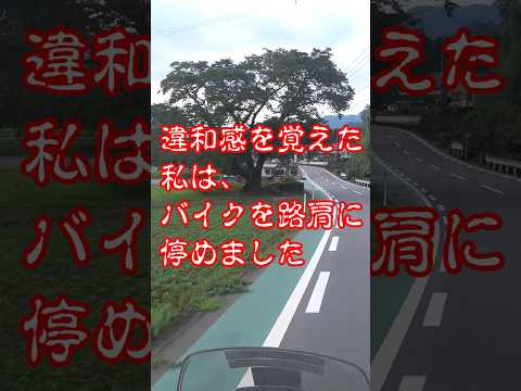 まさかのトラブル！絶望からの…　 #モトブログ #熊本 #ツーリング  #ハプニング