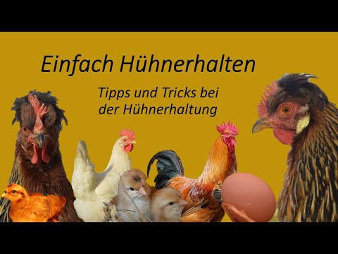 Einfach Hühnerhalten Teil 1 Tipps und Tricks zur Hühnerhaltung !!!