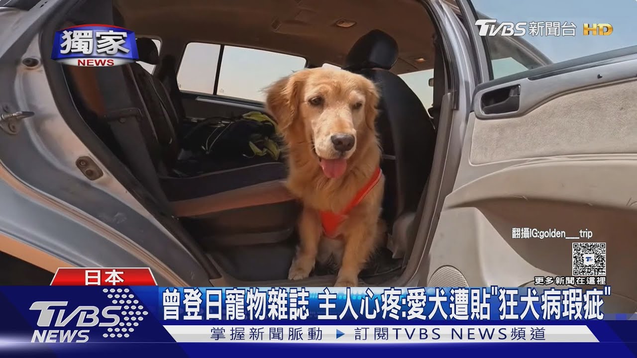 「蜷縮低頭」超心疼!男攜服務犬赴日遭拒 日檢疫官疑刻意刁難