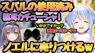 スバルの猫耳カチューシャをノエルに売り付けようとするぺこらｗｗｗ【#ホロライブ切り抜き #兎田ぺこら #大空スバル #白銀ノエル】
