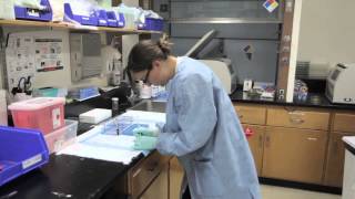 Cancer Research & Clinical Trials at Sutter Health CPMC