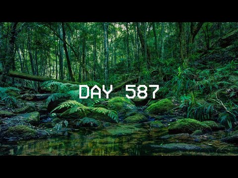 Daily Cybergrind - Day 587