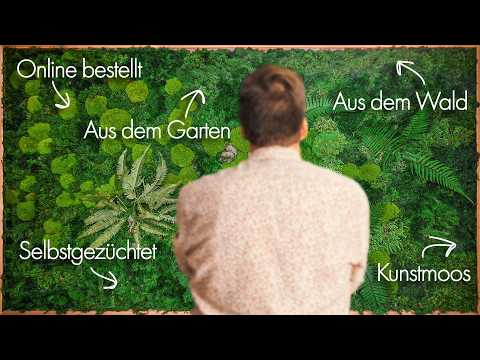 I spent 4 months building a 3m² moss picture [forest moss, moss cultivation, artificial moss]