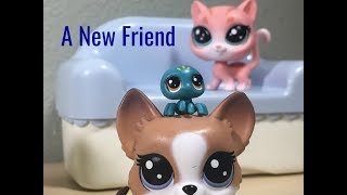 LPS: Penny & Peaches Part 2 || A New Friend