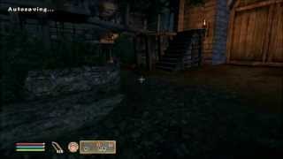 Let's Play Oblivion Part 84 - The Seeker of Irony Feat. Lymanity