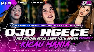 Download lagu DJ NEK NUMPAK SEPUR ASEPE METU DUWUR X KICAU MANIA MELODY SPECTRE ‼️ | STYLE VELOCITY KENDANG VIRAL🔥 mp3