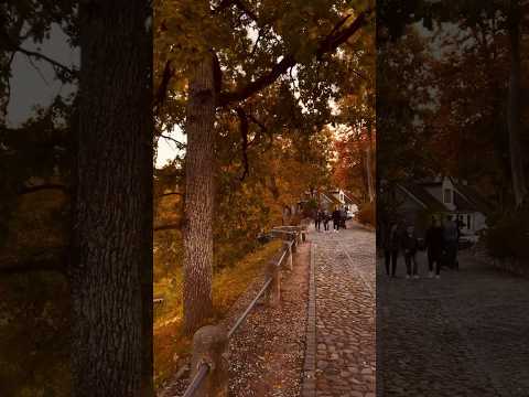 Autumn fairytale in Kuldīga, Latvia