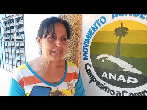 Celebran mujeres de Batabanó, en #Mayabeque, aniversario de la #FMC