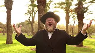 אני מאמין באמונה שלמה | מיכאל שטרייכר {קליפ} Ani Maamin | Michoel Streicher