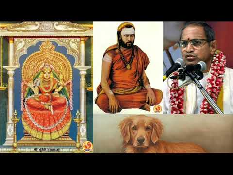 Compassion Towards Dog - Sri Chandrasekhara Bharati Mahaswami - Brahmasri Chaganti Koteswara Rao