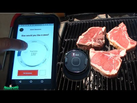 Weber iGrill Mini Bluetooth Thermometer Test With T...