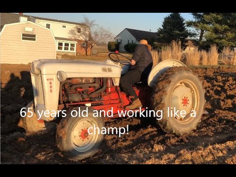 Antique FORD TRACTOR Working LIKE a CHAMP.