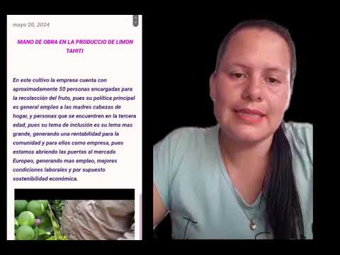 producción de citricos Barranca de Upia Meta