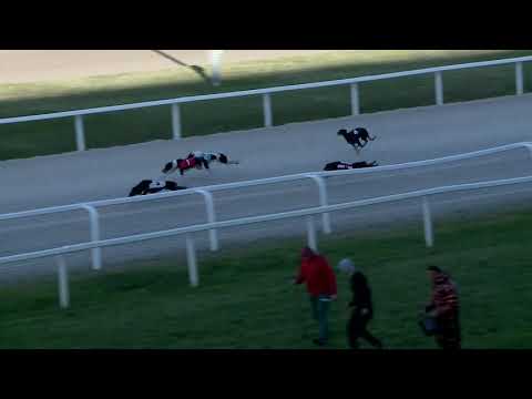 2017.10.29. 8. futam - Agár futam