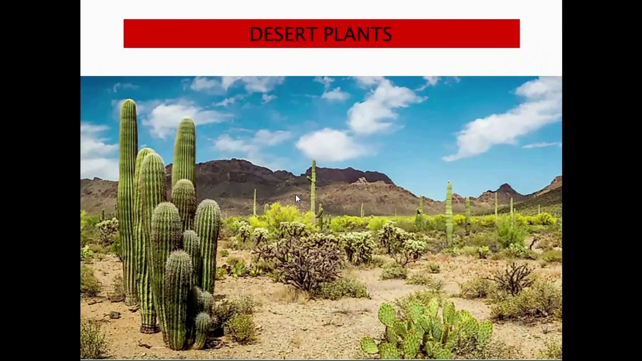 G2 science week 2 lesson 1