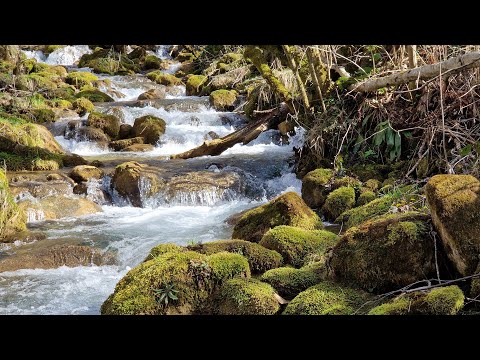 Drumeție la CASCADA ȘIPOTULUI de pe Valea Streiului, Baru Mare,județul Hunedoara