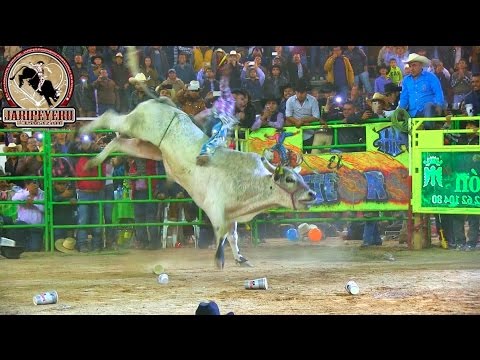 ¡¡GALLITO PUSO DE PIE AL PUBLICO!! Gallito De Morelia vs El Titan De Rancho La Mision
