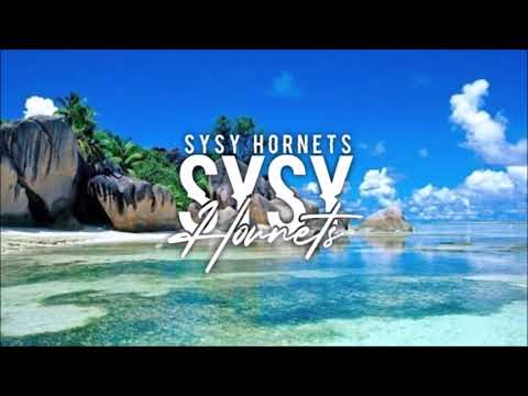 SYSY x JUSTIN WELLINGTON - HELP ME UP (HORNETS REMIX) 2021