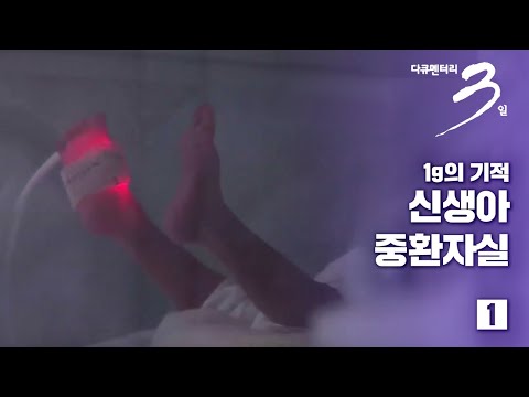[다큐3일] 1g의 기적 -신생아 중환자실 72시간 (1/2)