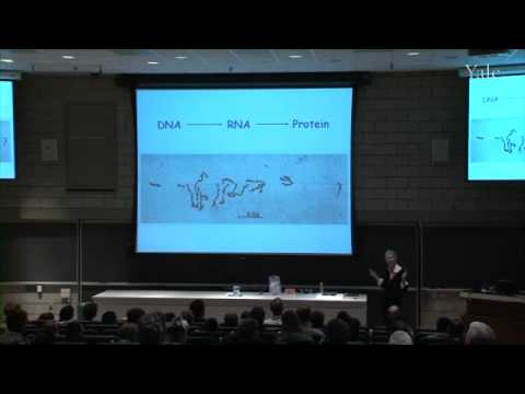 10/16/10  Joan Steitz - Your DNA: Sense or Nonsense?
