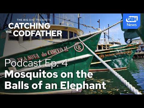 How catch shares created a fishing monopoly in New Bedford, MA | Catching The Codfather, Part 4