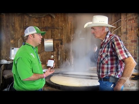 Making Sugar Cane Syrup an Old Florida Tradition  - Florida Cracker Kitchen