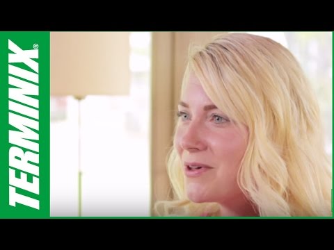 Terminix Testimonials Caryn