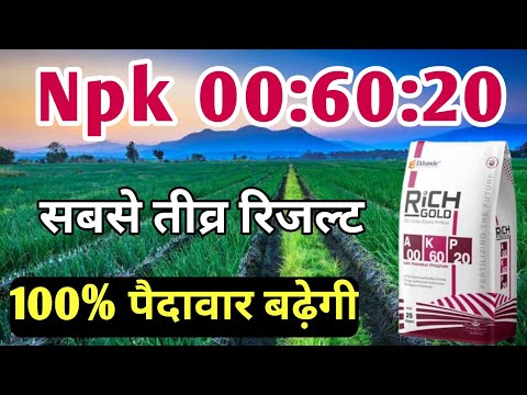NPK 00:60:20  Fertilizer