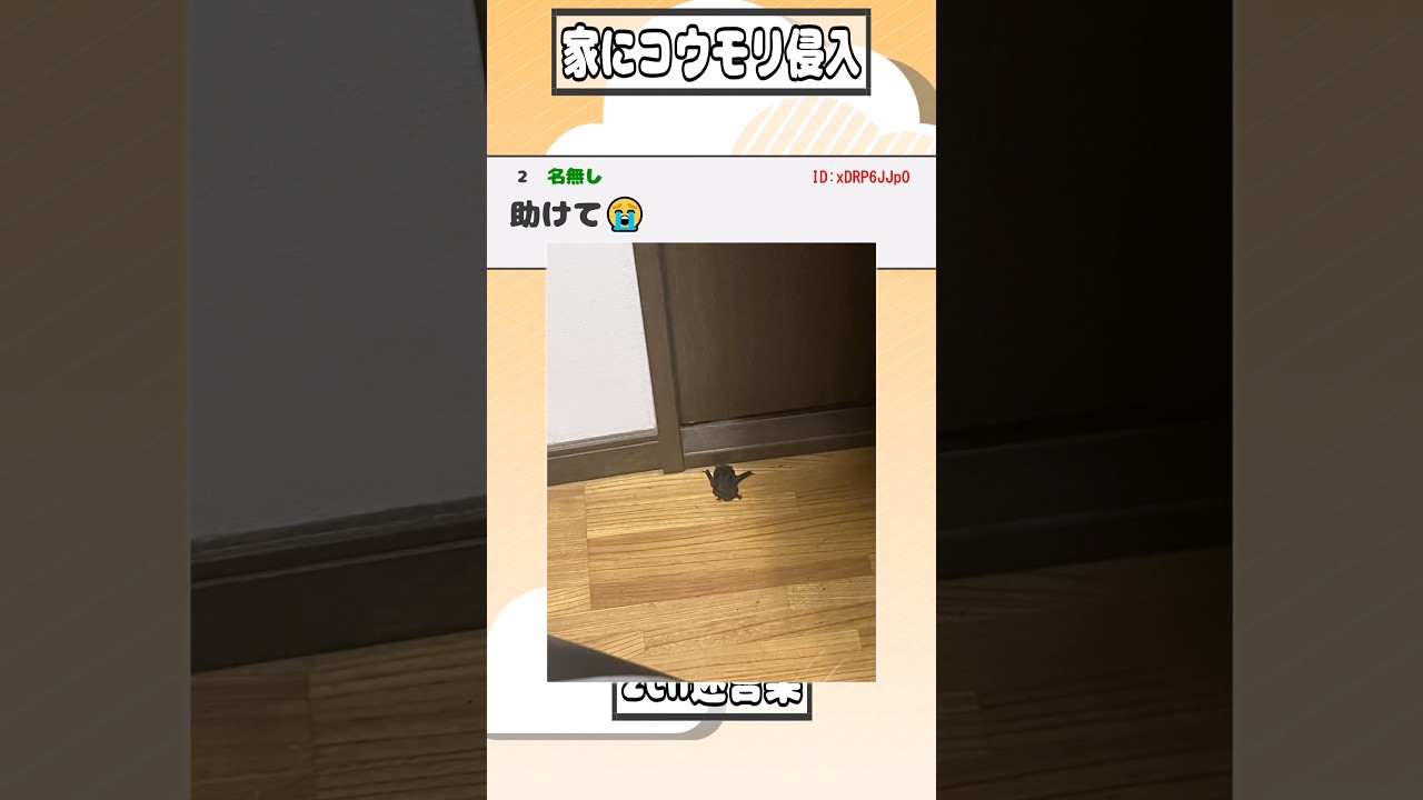 【2ch迷言集】エアコンから部屋にコウモリ入ってきたんやが【2ch面白いスレ】#shorts
