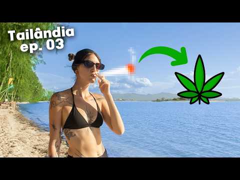 Cannabis in Thailand: the FIRST country in Asia to LEGALIZE