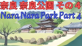 奈良 奈良公園 その４　Nara Nara Park Part Four
