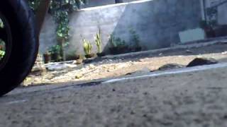 preview picture of video 'honda dio2 burnout'