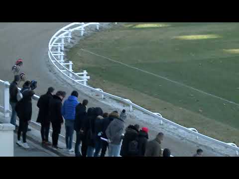 2021.12.04. 02. futam - Mester Tréner Díj