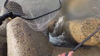 釣り（不慣れ😅）