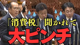 【消費税の真実】参政党・あんどう議員の質問に大臣タジタジ…本質を突かれ苦しい答弁！【国会中継/切り抜き】